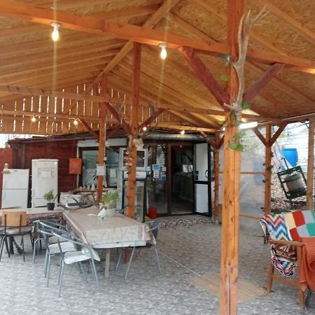 Vila Mara Sărata-Monteoru Exterior foto