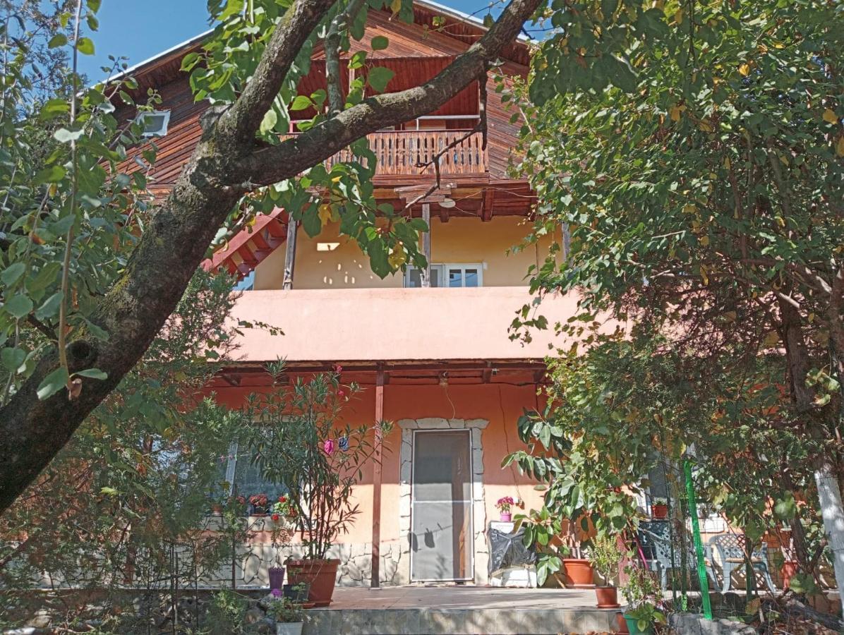 Vila Mara Sărata-Monteoru Exterior foto